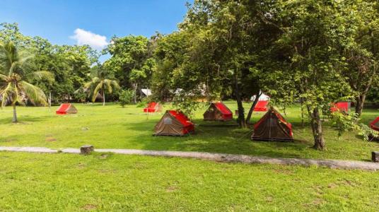 CAMPING