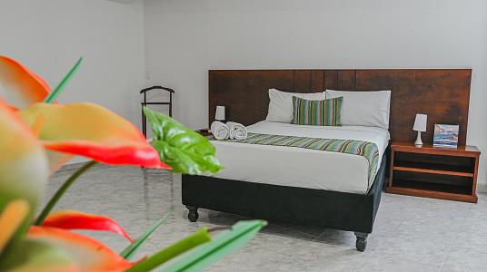 Máster Junior Suite