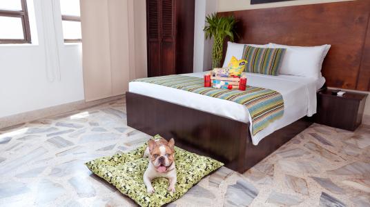JUNIOR SUITE