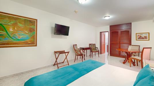 SUPERIOR MASTER ROOM