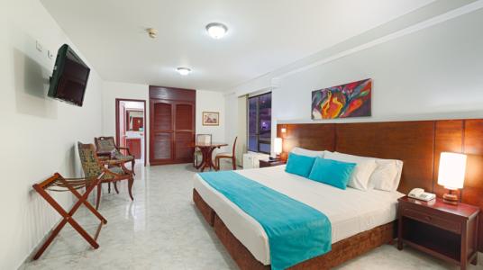 SUPERIOR MASTER ROOM