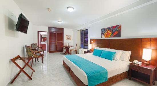 SUPERIOR MASTER ROOM