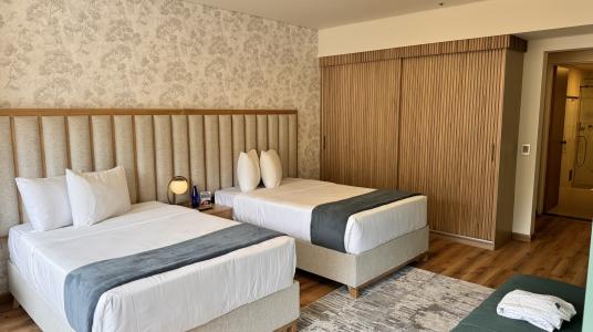 DELUXE EXECUTIVE TWIN - Renewed