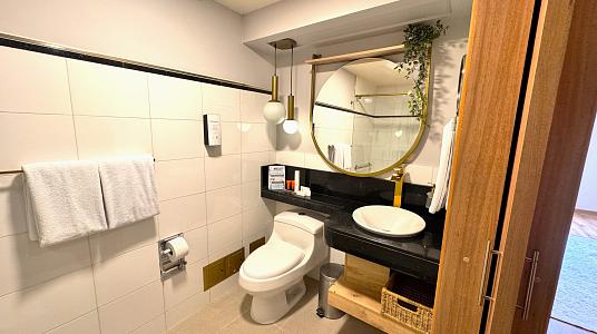 BUSINESS SUITE EXECUTIVE