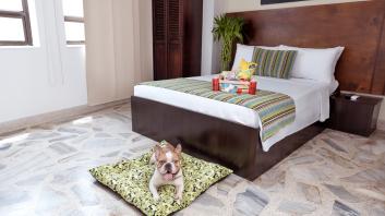 Photo galleryfrom Hotel Granada Real
