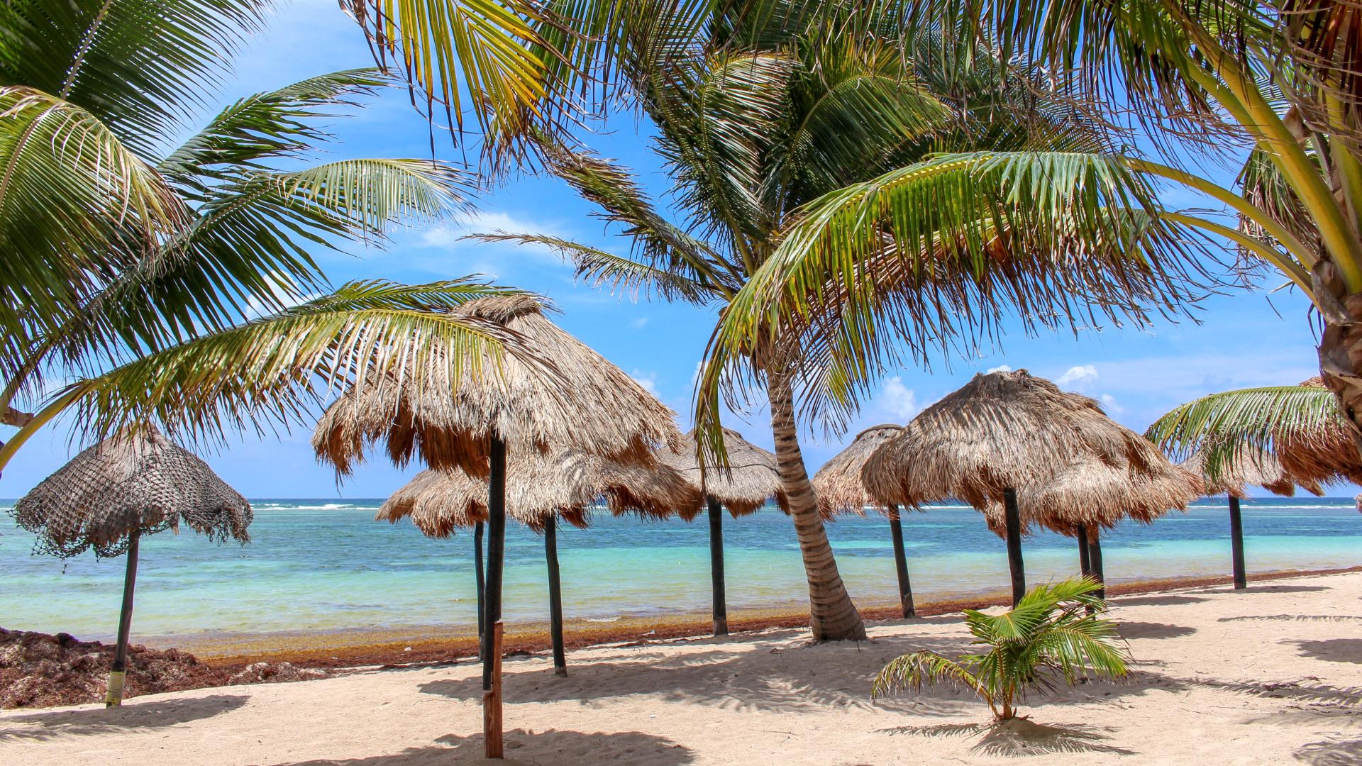 Plan Corales