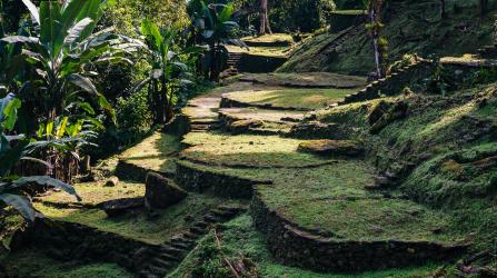 Day Trip - Tayronaka Experience