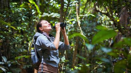 Day Trip - Bird Watching