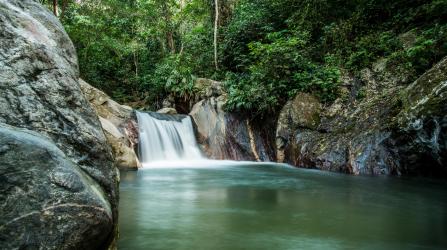 Day Pass - Minca Ecological Capital Tour