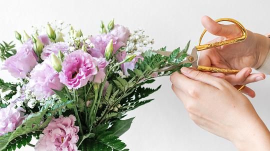 Personalized support