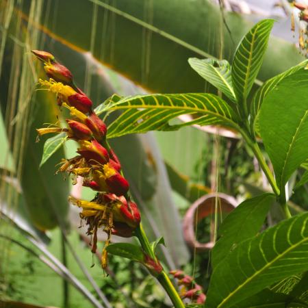 Jardín Botánico de Bogotá