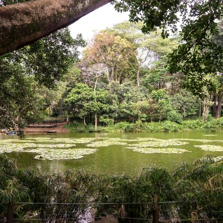 Botanical Garden of Medellin