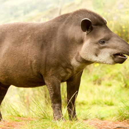 Bioparque los Ocarros