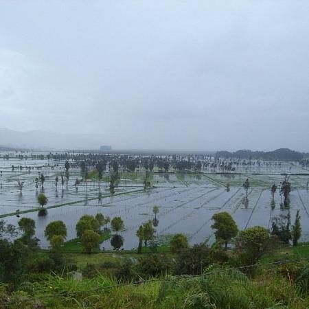 Fúquene Lagoon