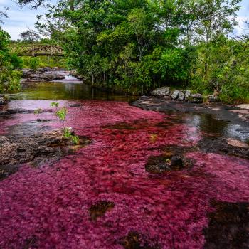 The most authentic nature of Colombia