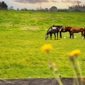 Conoce los rincones escondidos