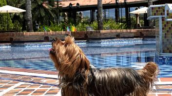 Photo galleryof the Tequendama Hotel Campestre Villavicencio