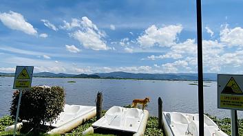 Image gallery of Hotel Refugio el Santuario ComfacundiDiscover the essence of our shelter in images